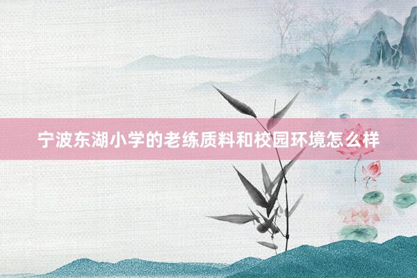 宁波东湖小学的老练质料和校园环境怎么样